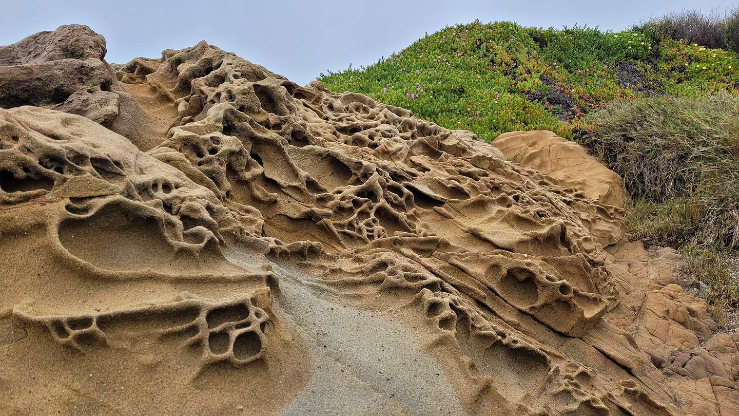 Tafoni on Pebble Beach